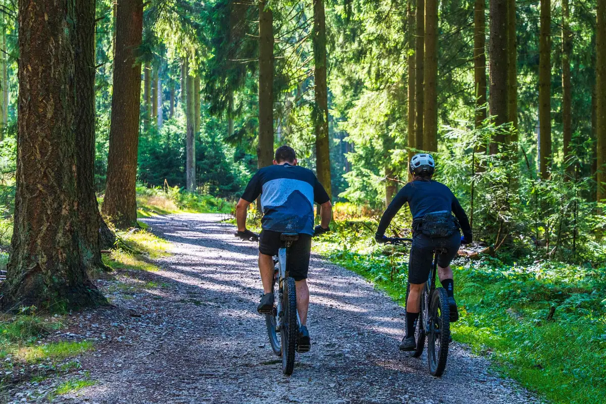 Dva cyklisté na lesní cestě